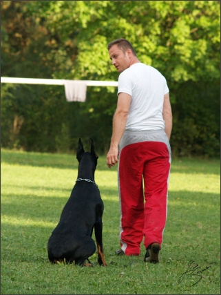 Summer training camp - Jelenec - 2007